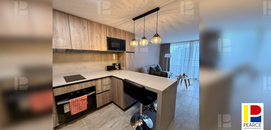 DEPARTAMENTO SECTOR RESIDENCIAL SUR