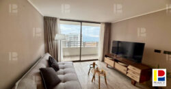 DEPARTAMENTO SECTOR RESIDENCIAL SUR