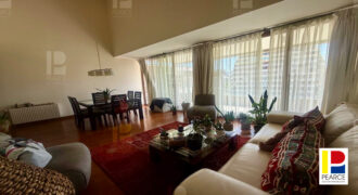 MODERNO DUPLEX EN EXCELENTES CONDICIONES