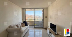 ARRIENDO DEPARTAMENTO AMOBLADO SECTOR SUR