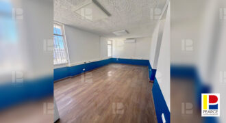 PROPIEDAD USO COMERCIAL SECTOR NORTE